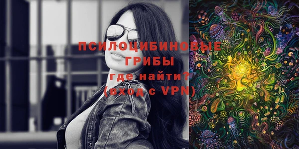кокс Арсеньев