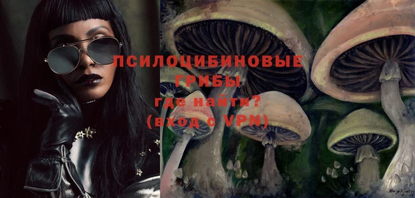 кокс Арсеньев