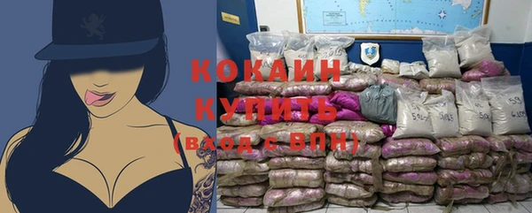 кокс Арсеньев