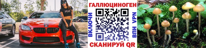 Псилоцибиновые грибы Cubensis  Купить где  Сунжа 